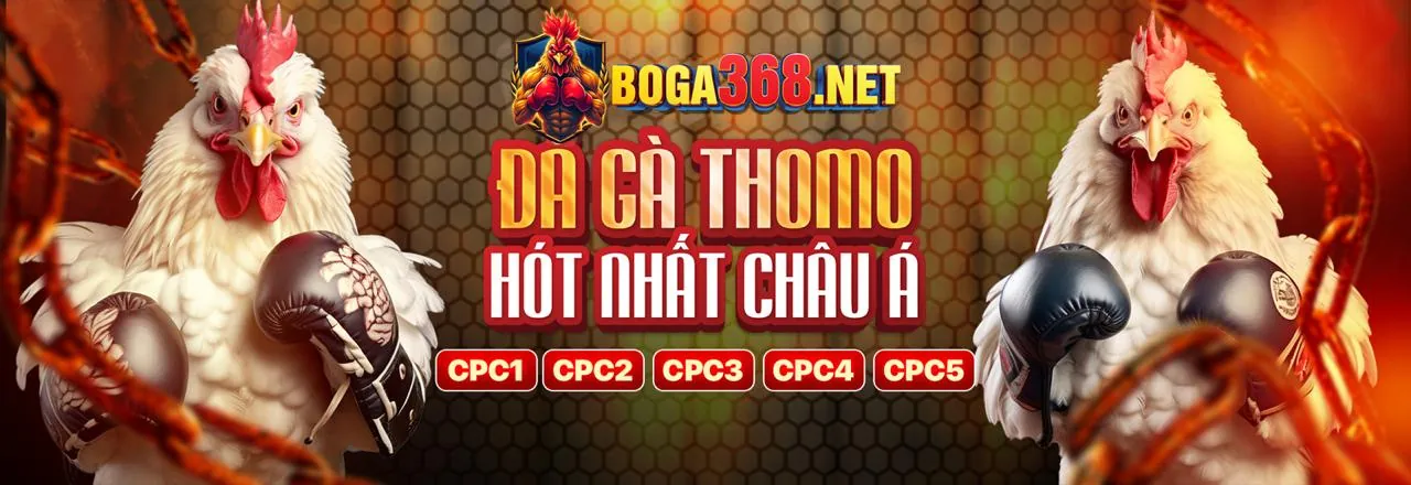 Đá Gà Thomo Trực Tuyến - Link Mới 2026