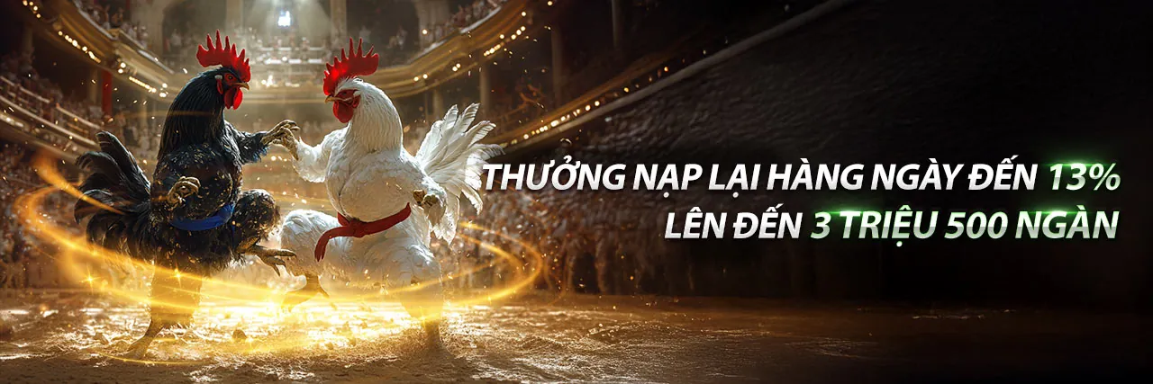 Sân đá gà Thomo trực tuyến sôi động