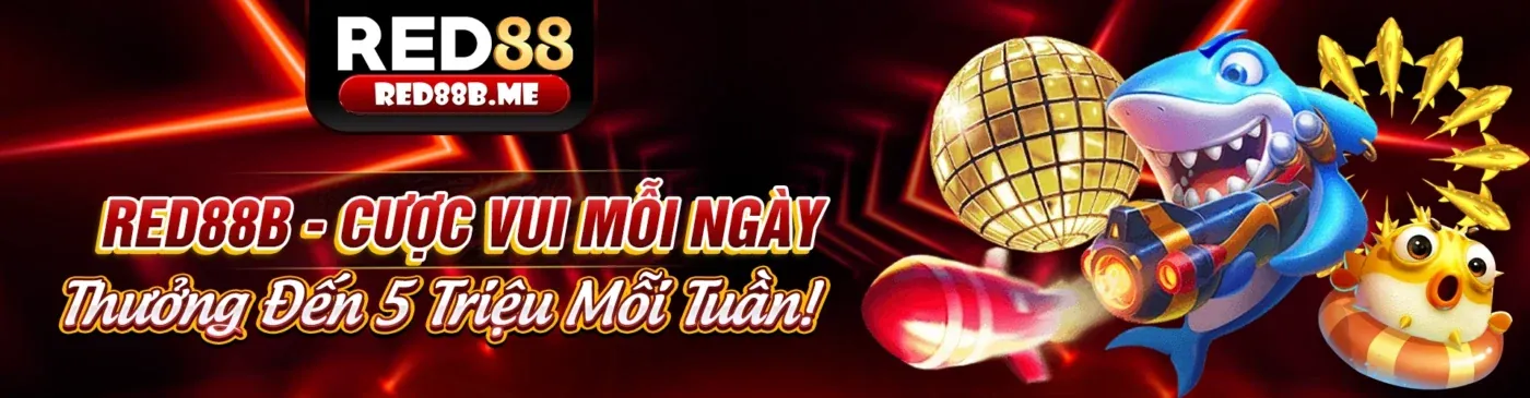 Trận đấu đá gà Thomo kịch tính